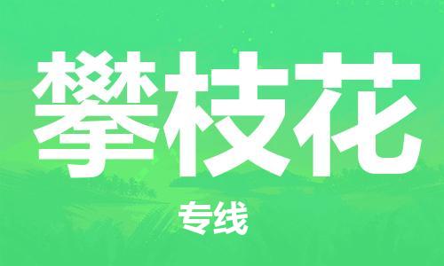 佛山到攀枝花物流專線_佛山至攀枝花物流公司_佛山到攀枝花貨運(yùn)專線