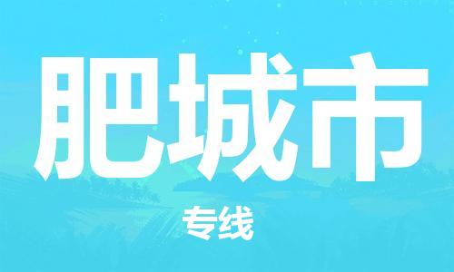 保定至肥城市貨運專線：普通貨物運輸專線「全境閃送」