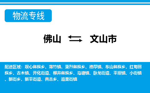 佛山到文山市物流專(zhuān)線_佛山至文山市物流公司_佛山到文山市貨運(yùn)專(zhuān)線